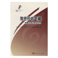 音像致密砂岩气藏伤害机理与保护技术张浩[等]编著