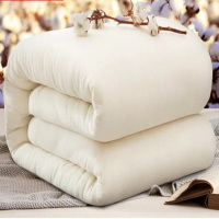 洛菲源 白棉被 棉花被 被子 全棉包布,内芯含网 规格150*200/3kg