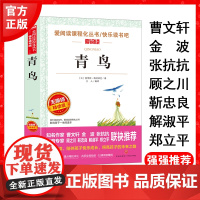 正版青鸟天地出版社爱阅读青少版小学生四年级三四五六年级课外读快乐读书吧阅读小学生儿童文学经典无障碍精读