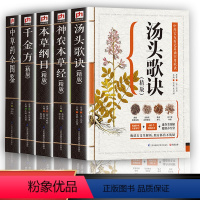 [正版]全套5册 汤头歌诀+本草纲目+神农本草经+千金方+中草药全图鉴全套原著中医书籍大全彩图中医理论基中草药书籍家庭