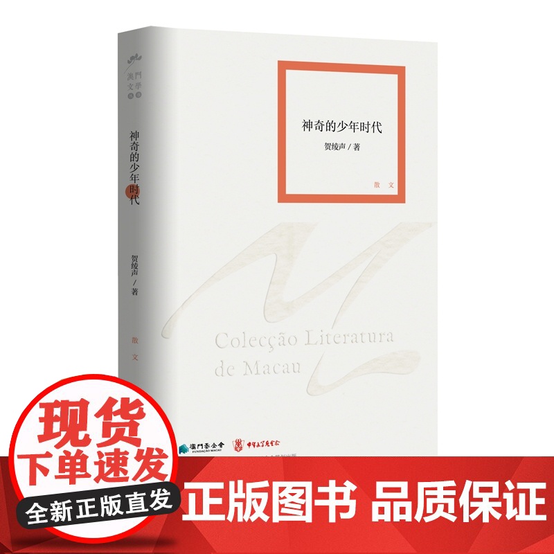 神奇的少年时代(澳门文学丛书)一部文艺青年演化史,澳门80后的成长片段、青春记忆