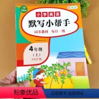 4年级上册英语默写小帮手 小学四年级 [正版]四年级英语默写小帮手 上册 小学PEP版课堂同步作业本课课练初学者阅读理解
