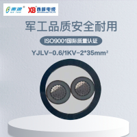 秦源牌 YJLV-0.6/1KV-2*35mm² 铝芯低压电力电缆 元/米 定制商品 联系客服