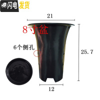 三维工匠园艺兰花盆塑料大中小号透气黑色带孔国兰君子兰墨兰花专用盆 8寸加黑色托盘 同规格5个(送网套)花盆容器