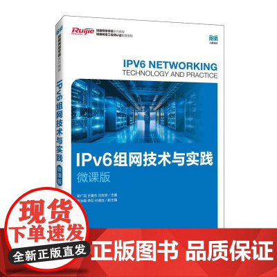 IPv6组网技术与实践(微课版)9787115645739 梁广民 王隆杰 汪双顶 人民邮电出版社