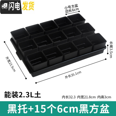 三维工匠控根多肉花盆套装组合塑料创意个性简约透气北欧风肉肉小盆器 黑托+15个黑盆(6cm盆) 中小花盆容器