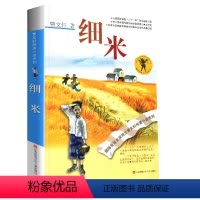 细米 [正版]完整版细米曹文轩系列原著纯美小说三4四5五六年级阅读阅读江苏少儿出版社儿童文学的经典图书籍根鸟全套作品全集