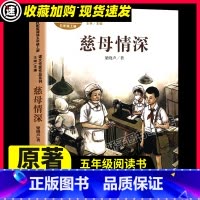慈母情深 [正版]慈母情深 课外书 彩绘版 梁晓声/著 五年级上册小学生课外阅读阅读读物课文作家作品系列 人民教育出版社