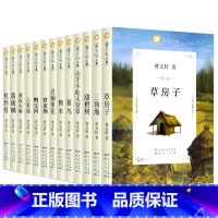 曹文轩文集全套(共14册) [正版]青铜葵花完整版曹文轩系列儿童文学四年级五年级六年级小学生课外阅读书籍9-12岁儿童经