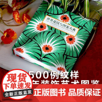 世界花纹与图案大典 伊丽莎白·威尔海德著 传统纹样与设计师作品 精装典藏图书 1500多种经典花纹