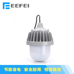 熠飞(EEEFEI) 防水防尘灯 防眩平台泛光灯 EF8102