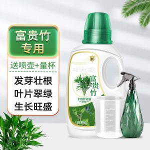[补贴10%]富贵竹专用营养液治叶子发黄转运竹节节高文昌竹水竹水培植物生根