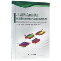 正版新书]玛湖凹陷西斜坡断裂结构及其对油气成藏的控制作用支东