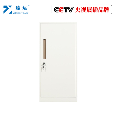 臻远钢制带锁铁皮柜资料柜储物柜 单门白色
