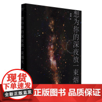 想为你的深夜放一束烟火刘同2022新书 浙江文艺出版社 刘同新书暗处亦有光亮 深夜亦可疗伤 23个暖心鼓气短篇小说