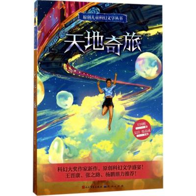 正版新书]天地奇旅王国刚9787501612437