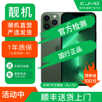 [99新]Apple iPhone 13Pro Max 苍岭绿256GB 二手手机 苹果13PM 全网通5G 国行正品