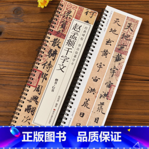 [正版]0减40赵孟頫行书楷书千字文书法毛笔字帖元赵孟俯赵体经典碑帖书法临摹字卡原大版墨迹本成人学生近距离临帖卡附简体