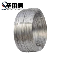 圣承启 不锈钢铁丝 1mm 千克