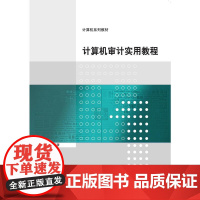 计算机审计实用教程