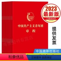 [正版]10本套2023团章版 中国共产主义青年团章程 2023年共青团十九大修订 共青团中央 共青团中央监制9787