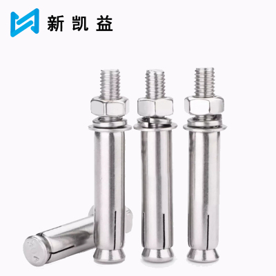 新凯益 304不锈钢膨胀螺丝螺栓 M10*250 个