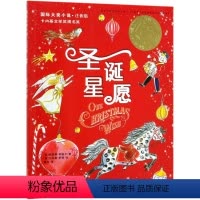 圣诞星愿(注音版) [正版]兔子坡注音版二年级/ 大奖小说 6-7-8-9-10-12岁一二三四年级小学生课外阅读物图书
