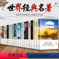 全套20册 世界二十大名著 [正版]全套20册 世界二十大名著原著 钢铁是怎样炼成的 海底两万里 巴黎圣母院 中国经典文