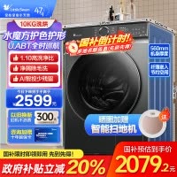小天鹅(LittleSwan)滚筒洗衣机全自动 水魔方护形护色 10公斤大容量 智能投放TG100V618PLUS