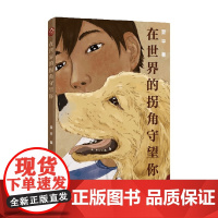在世界的拐角守望你 翌平 著 小说