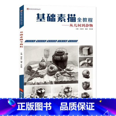 [正版]基础素描全教程从几何到静物 2018青美文化 贾维颢单体组合素描结构明暗静物几何形体基础入门临摹范本高艺联考美术