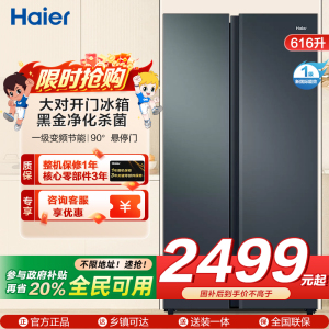 海尔(Haier)616升对开门超薄嵌入冰箱 鲸式储量 黑金净化 双变频一级能效 BCD-616WGHSSEDC9