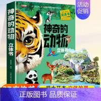 [超大开本]神奇的动物3D立体书 [正版]神奇的动物立体书儿童3d立体书翻翻书6-7-8-10岁以上宝宝绘本故事书图书籍