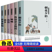 全套6册[鲁迅文集] [正版]鲁迅全集6册 朝花夕拾鲁迅的故乡原著作品集 呐喊彷徨 故事新编 文集选读狂人日记 三四五六