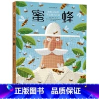 蜜蜂 [正版] 6-12岁儿童昆虫科普百科任选MOVE图鉴昆虫法布尔老师的昆虫教室 昆虫结构习性昆虫图鉴科普书籍 浪花朵