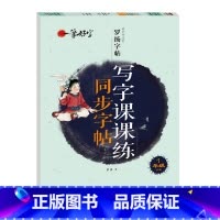 写字课课练同步字帖 1年级下册 [正版]罗扬字帖课堂笔记天天练练字帖人教版同步字帖一课一练硬笔钢笔临摹一二三四五六七八年