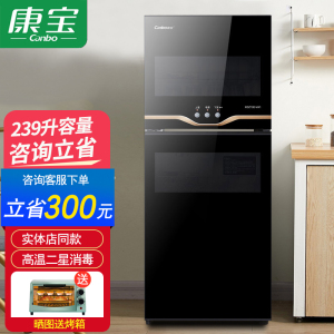 康宝(Canbo)XDZ239-VA1 消毒柜家用 新款立式 双门双层 厨房小型碗筷柜 二星级高温分层控制 大容量商用