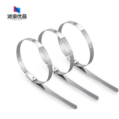 沁渝优品 不锈钢扎带 7.9*300mm 根