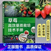 [正版]草莓高效基质栽培技术手册 草莓种植书籍大全农业技术果树种植病虫害图谱与防治栽培技术农业书籍科学实用果树栽培生产