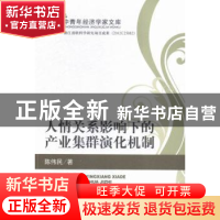 正版 人情关系影响下的产业集群演化机制 陈伟民著 经济科学出版