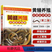 [正版]书籍 黄鳝养殖关键技术精解 杨菲菲 黄鳝养殖技术大全书籍鳝鱼黄鳝高效养殖技术疾病防治技术高效养黄鳝人工养殖农业