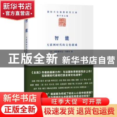正版 智能:互联网时代的文化疆域 [法]弗雷德里克·马特尔 商务印