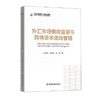 正版新书]全新正版 外汇市场微观监管与跨境资本流动管理孙天琦