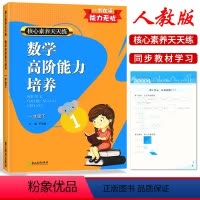 数学 一年级下 [正版] 核心素养天天练 数学高阶能力培养一1年级下册人教版阅读作文小学生1年级下册数学同步练习强化培优