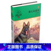 第七条猎狗(升级版)/动物小说大王沈石溪品藏书系 [正版]BK新版 第七条猎狗 沈石溪动物小说品藏书系 青少年课外启发