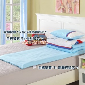 美帮汇幼儿园蚕丝被子三件套春夏全棉含芯儿童午睡小床品被褥六件套