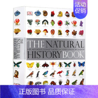 DK系列 博物大百科 [正版]DK儿童艺术百科全书英文原版 Art A Children's Encyclopedia