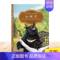 [正版]中英双语版 沈石溪动物小说全系列 血眼熊 英汉对照经典儿童文学 初中生小学生五六七年级英语阅读课外故事书书籍