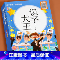 识字大王 注音彩图版 [正版]识字大王幼小衔接 识字书幼儿认字幼儿识字启蒙认字卡片识字卡1240字幼儿园认字神器 儿童宝