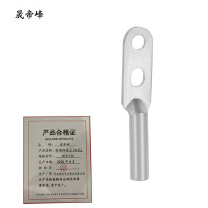 晟帝峰 镀锡铜鼻子(双孔) DTS-120 个